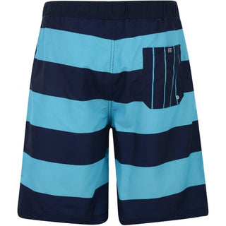 Canterbury Striped Adults Navy/Bachelor Ss14 Board Shorts