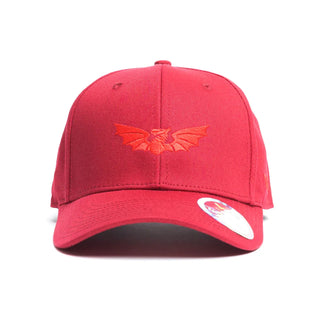 VX3 Scarlets 2025/26 Classic Cap
