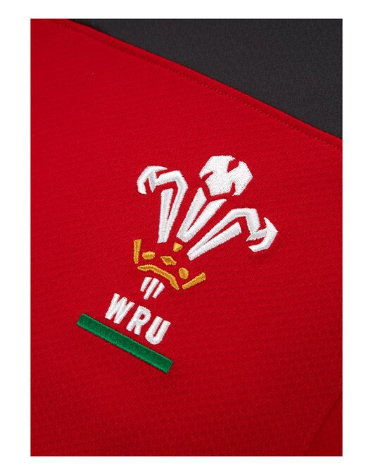 Under Armour Wales Home Polo Adults