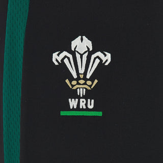 Macron Wales WRU 2026/27 Mens Player Training Bottoms
