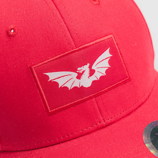 VX3 Scarlets 2026/27 Classic Cap