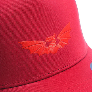 VX3 Scarlets 2025/26 Trucker Cap