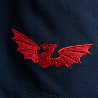 VX3 Scarlets 2025/26 Mens Mens Vertex Gym Shorts