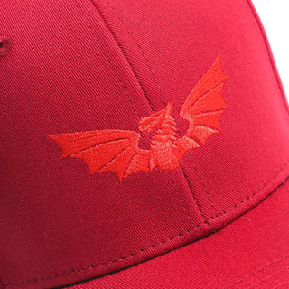 VX3 Scarlets 2025/26 Classic Cap